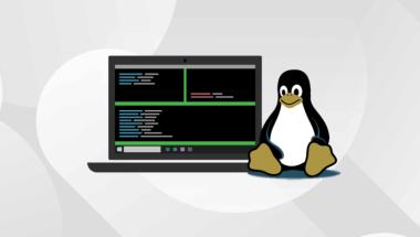 Linux penguin sitting next to laptop