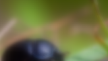 The Qt Graphical Effects Module